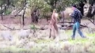 The Story Behind the Viral Video of That Dude Who Socked a Kangaroo